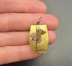 Vintage Pressed Dried Flower Pendant Necklace Gold Tone Floral Acrylic Resin