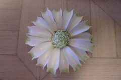 VINTAGE ENAMEL FLOWER BROOCH WHITE AND GREEN