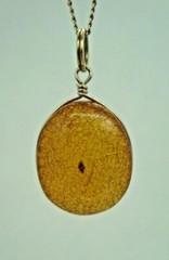 VINTAGE ANTIQUE BALTIC AMBER PENDANT W/INSECT BUG FOSSIL & GOLD TONE WIRE FRAME