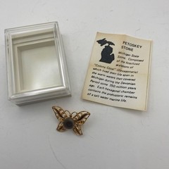 Vtg Petoskey Stone Butterfly Brooch Filigree Gold Tone Pin Box Michigan Fossil