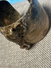 VTG Brutalist Brass Elephant Cuff Bracelet Wide Hammered Statement Textured 2”