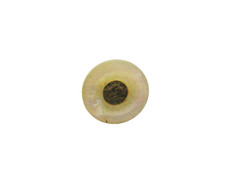 Antique Collar Stud Cleric Button Mother of Pearl gold plate