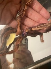 Painted Glass Copper Pendant With Tied Ribbon Necklace Bohemian Handmade