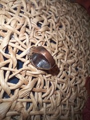 Vintage Silver Ring With Oval Red Stone Size 7/8 Read Description