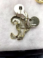 Vtg AJC gold tone red cab Parrot Pin