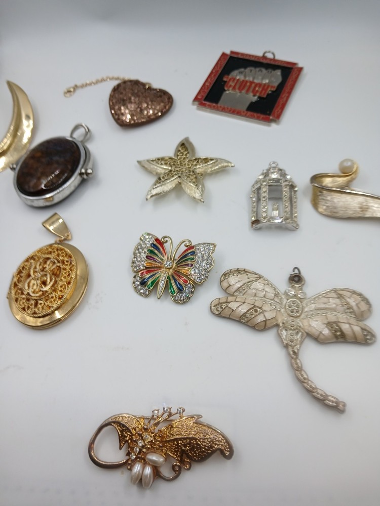 Mixed Jewelry Lot of Dragon Fly. Pendant. Butterfly Brooch Pin.