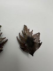 Vintage Tarnished Leaf Clip Earrings 4.5cm JB6