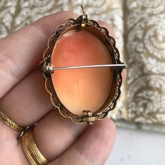 Beautiful Shell Cameo Brooch / Pendant , Vintage or Antique, Filagree Bezel