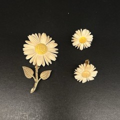 Vtg Accessocraft Plastic Celluloid Carved Daisy Brooch And Screw On Earrings Set