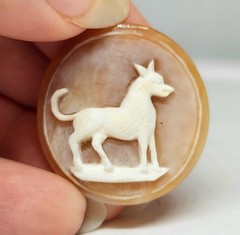 Rare! Victorian Vintage Hunting Dog Hound High Relief Cameo Shell 1 1/4 Inch