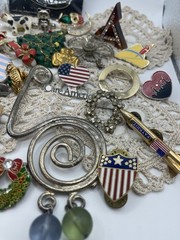 Huge Lot Of Pins, Costume Jewelry , Earrings And One Keychain