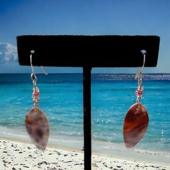 Dainty Tiger Cowrie Shell Earrings Brown Tan Beach Coastal Bohemian Drop Dangle