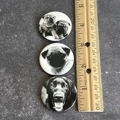 Dog Face Button Pinback Pin Lot Pug Labrador Animal Lover Vintage Collectables