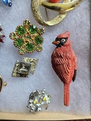 Lot of 10 Brooches/Pins Red Bird, Floral, Heart Misc # HH #18