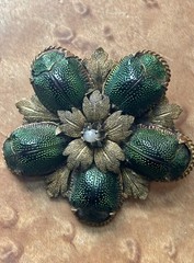 Antique Victorian Egyptian Five Real Scarab Beetles Gold Plated Brooch