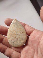 100% natural coral fossil pendant