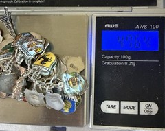 46 Vintage 800 Silver & Sterling Enamel Travel Shield Charm Bracelet Nice!