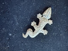 vintage Sterling silver Lizard alligator or crocodile pin brooch