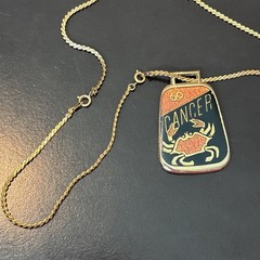Vintage Cancer Zodiac Enamel Pendant Necklace Double Sided Astrology Crab 27”
