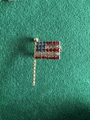 Vintage American Flag Brooch/pin And Matching Earrings