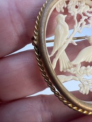 Vintage France Depose Celluloid Bird Brooch Trombone Clasp