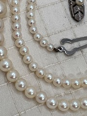 Vintage Mikimoto Pearl Necklace Silver Clasp 16″ Made in Japan