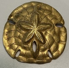 VTG Sand Dollar Brooch Brushed Gold Tone Pin Ocean Beach Realistic Sea Life