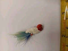 VINTAGE METAL PAINTED REAL FEATHER PARROT BROOCH 2.5 INCH