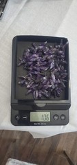 Amethyst Raw Long Necklace Cluster 925 Sterling Silver Clasp $355