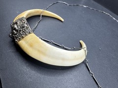 Vintage 19th Century Bear Double Tusk Pendant & Chain