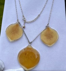 Vtg.Sign 925 Sterling Silver & Dried Petals In Resin Chain Necklace-19” Exc.