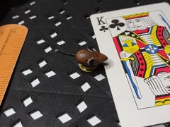 Old Wood And Leather Cute Little Mouse Pin
