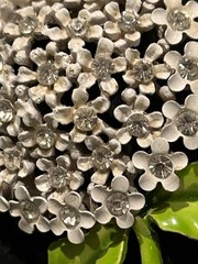 Vintage Weiss Brooch Pin Enamel Rhinestone White Flower 2.5 Inches Long Stunning