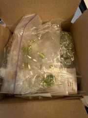 Unsearched Vintage To Modern Craft and Wearable Jewelry Mixed Lot 3 Lbs