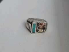 Coleman & Co. Inlay Turquoise Black Hills 12k Gold & Sterling Ring Size 8.75