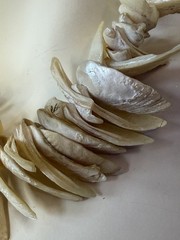 VTG 15” MOP Shell Choker.