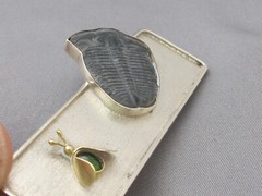 Fine VIVIAN FERRAZ Brazil Studio Sterling & 18K FLY & Fossil TRILOBITE BROOCH