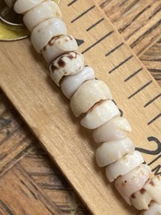 Tiger Puka Shell Necklace Beach Surfer 14.5” Collar white & brown specks vintage