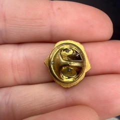 Vintage Lions Pin