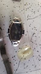 Belais Vintage Watch Case Marked Platinum on 18kt Belais 3.3 Grams PARTS/REPAIR
