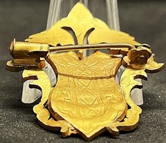 France 1920´ old beauty brooch fleur-de-lis shield, Art Nouveau design elegant