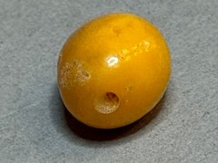 NATURAL OLD ANTIQUE YELLOW BUTTERSCOTCH BALTIC AMBER BEAD
