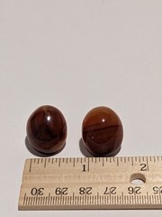 Beautiful Vintage Sunset Shade Glass Dome Clip On Earrings. MCM Style. 1″.
