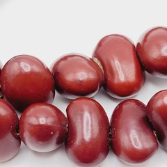 Artisan Hand Strung Red Seed Nut Bead Single Strand Infinity No Clasp Necklace