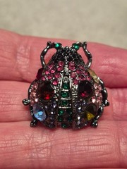 VNTG Gun Metal Multicolor Crystals Lady Bug Glam Brooch in Your Garden Theme