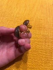 Vintage 1970s Crown Trifari faux-tortoise shell resin “maze” clip earrings
