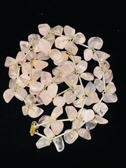 Antique Victorian Rose Quartz Cluster Necklace Silver Link Pools of Light 97 Gr