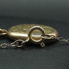 Vintage 12K GF W.C. Co Engraved Oval Photo Locket 17″ Necklace