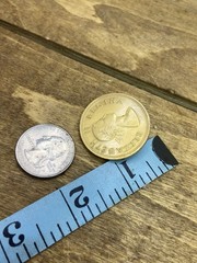 Vintage 1950s South Africa Elizabeth II Coin Clip On Earrings 1.25”