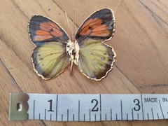 Vintage Butterfly Brooch 2 Inches Yellow Orange Gold Dipped Edging
